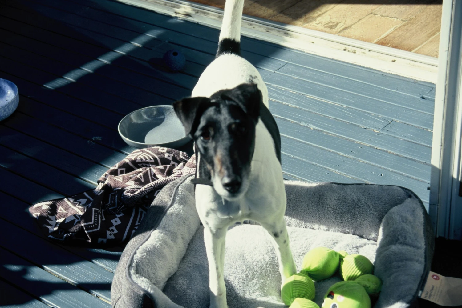 FilmNeverDie Chameleon 100 E6 Slide Film (35mm, 36 Exp.) - Image 7