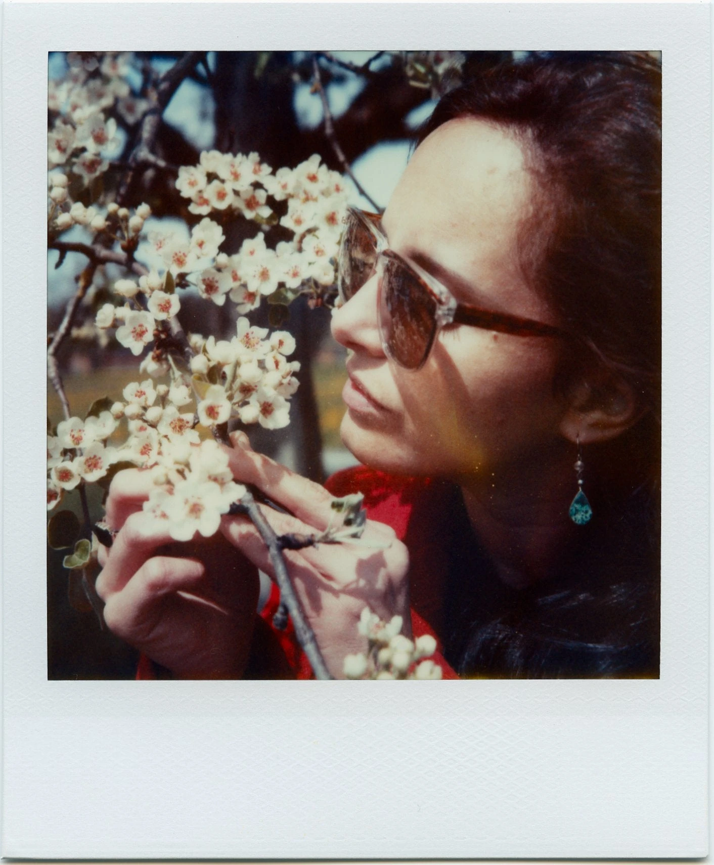 Polaroid SX-70 Land Camera - Image 6