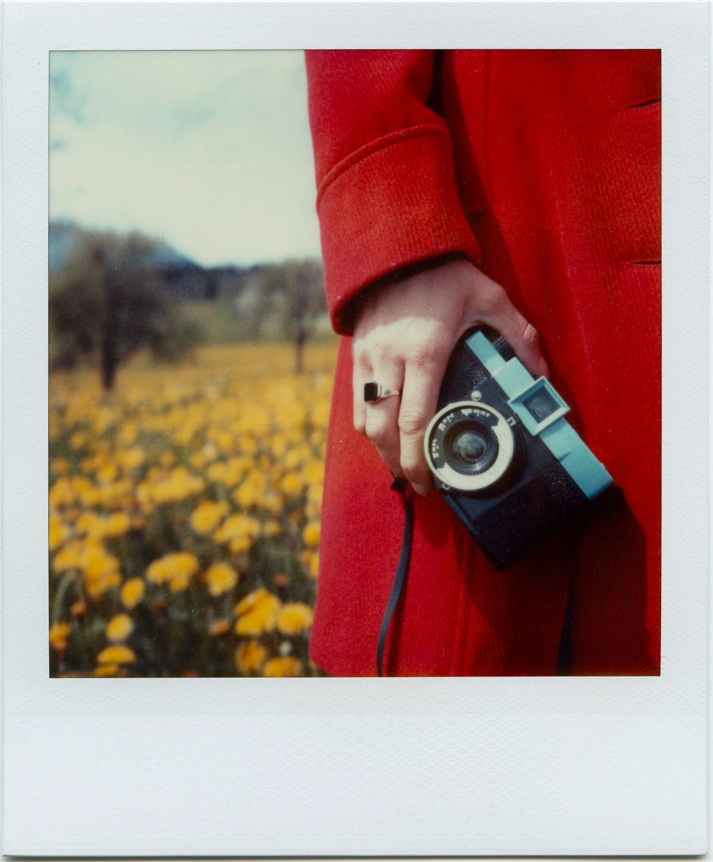 Polaroid SX-70 Land Camera - Image 5