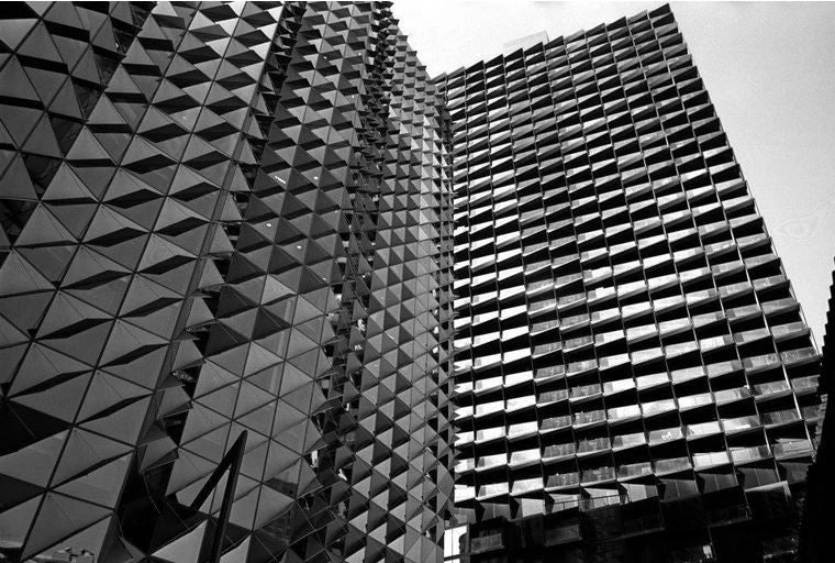 Kodak Tri-X 400 (400TX) Black & White Film (120) - Image 6