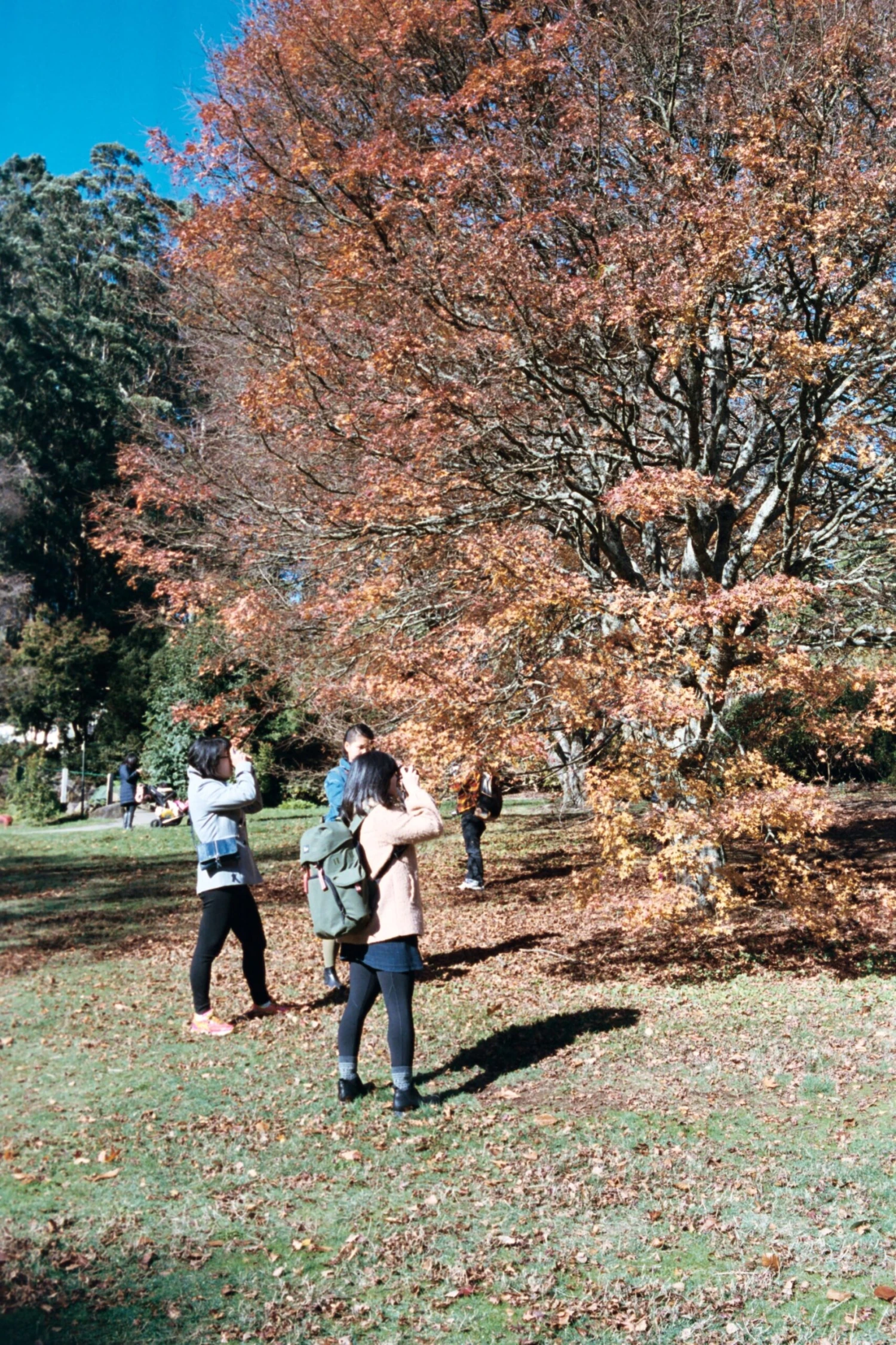 Kodak Portra 400 Colour Negative Film (35mm, 36 Exp.) - Image 4