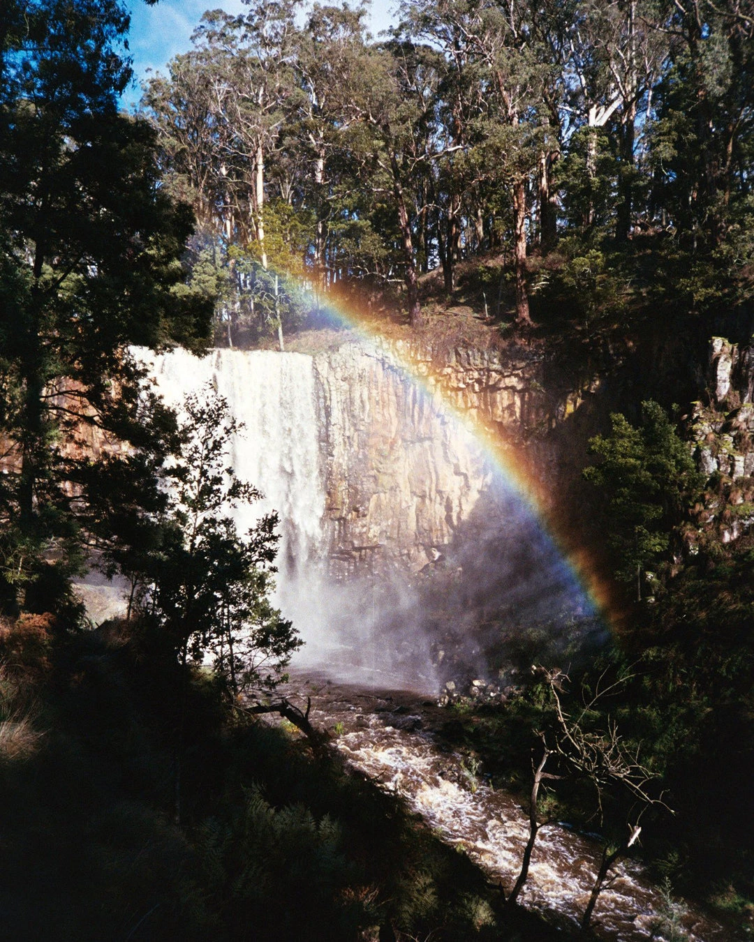 Kodak Ultramax 400 Colour Negative Film (35mm, 36 Exp.) - Image 6