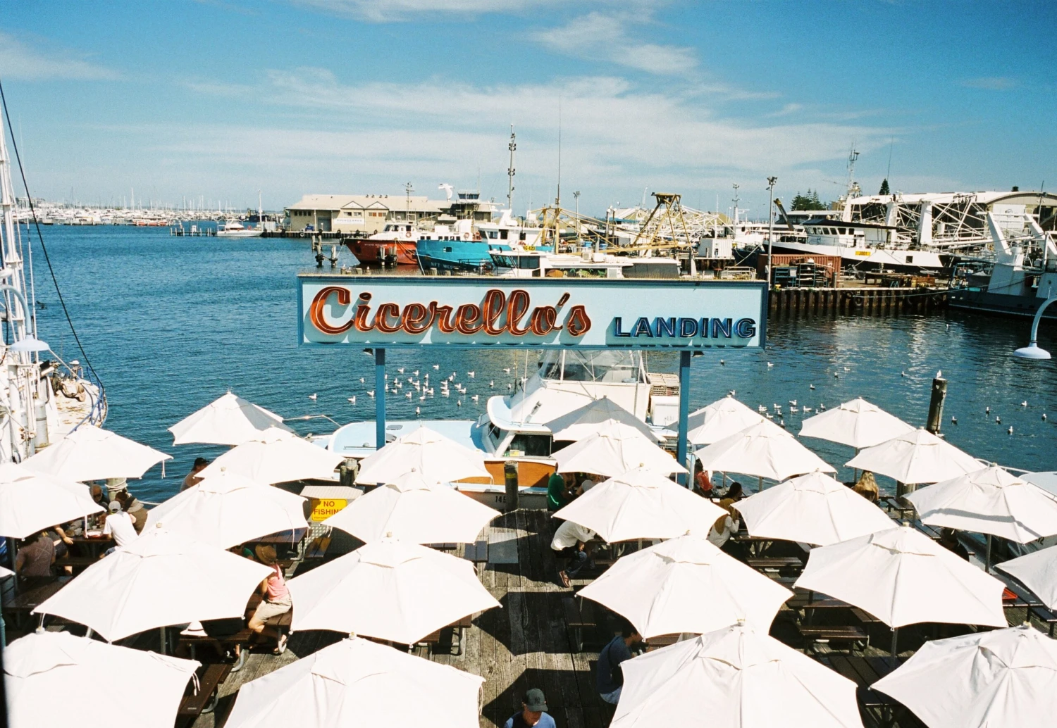 Kodak Portra 400 Colour Negative Film (35mm, 36 Exp.) - Image 3